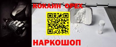 стафф Гатчина