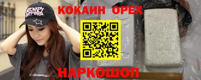 стафф Гатчина