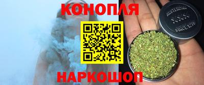 сатива Гай