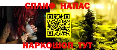 сатива Гай