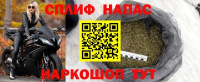 сатива Гай