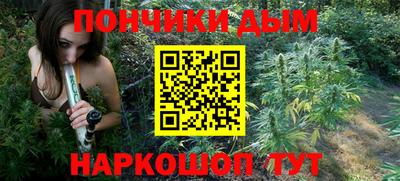 стафф Гатчина