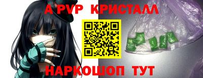 сатива Гай