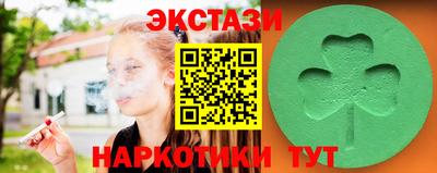 стафф Гатчина