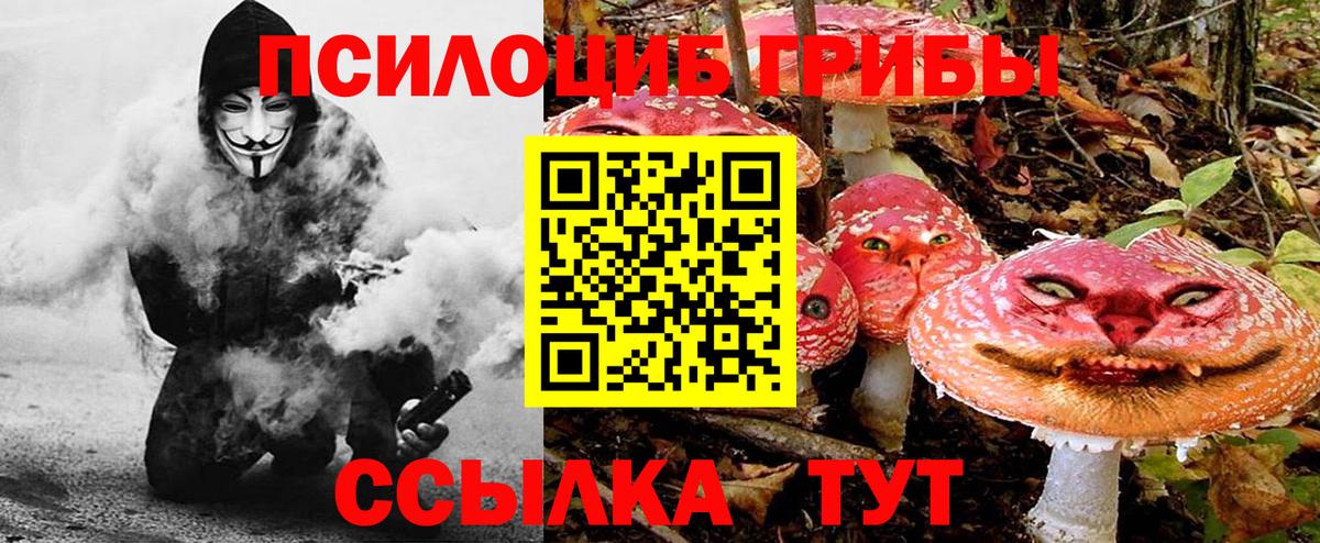 Галлюциногенные грибы Psilocybine cubensis  Приморско-Ахтарск 