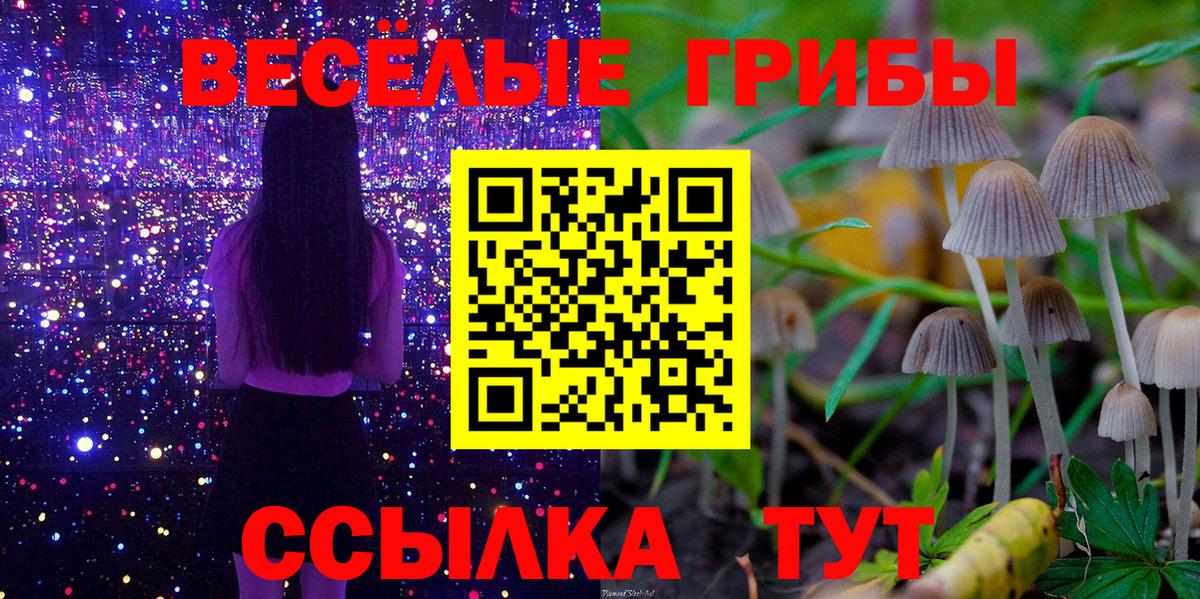 Псилоцибиновые грибы прущие грибы Приморско-Ахтарск