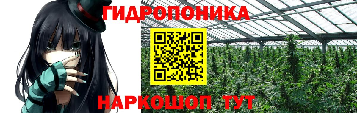 Бошки Шишки White Widow  Бошки Шишки SATIVA & INDICA  Шишки марихуана SATIVA & INDICA  Приморско-Ахтарск  Канабис SATIVA & INDICA 